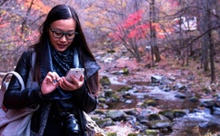 成人A片免费看男人社区